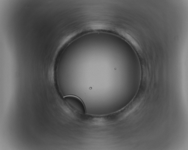 X0000113870391200909241336