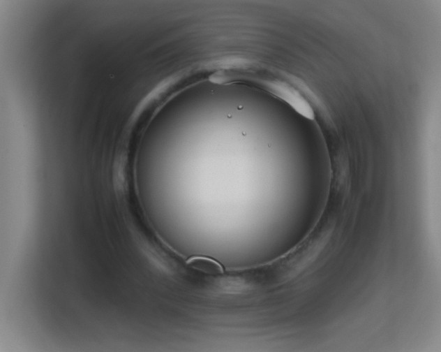 X0000113870392200909241336