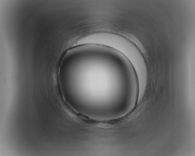 X0000113870393200909241336