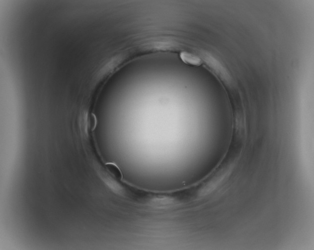 X0000113870397200909241336