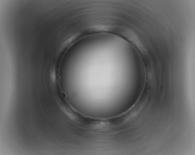 X0000113870398200909241336