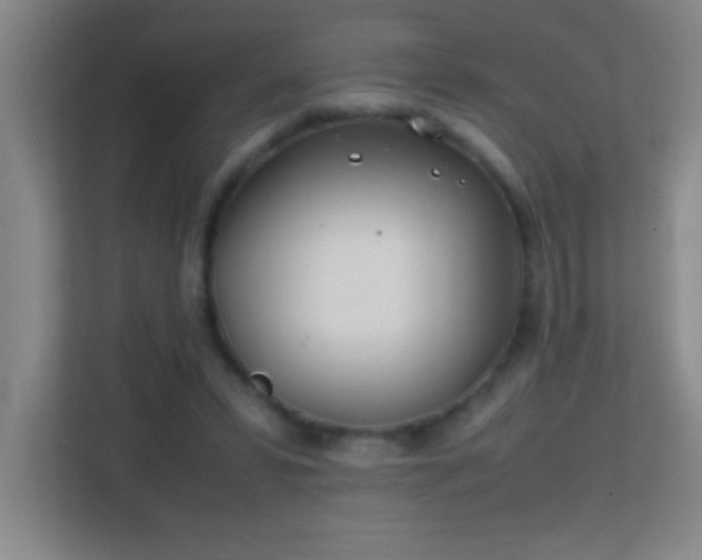 X0000113870399200909241336