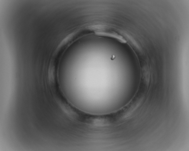 X0000113870400200909241336