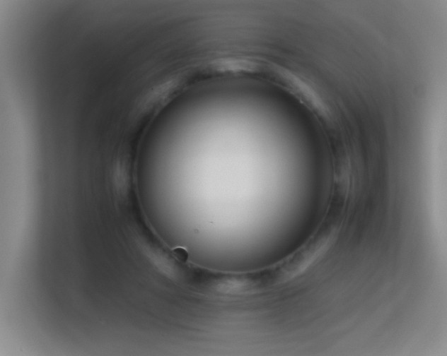 X0000113870402200909241336