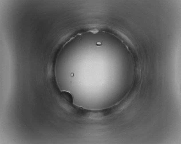 X0000113870403200909241336