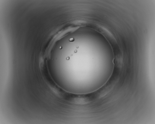 X0000113870404200909241336