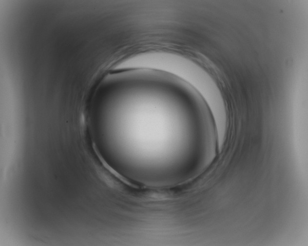 X0000113870405200909241336