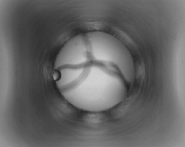 X0000113870414200909241336