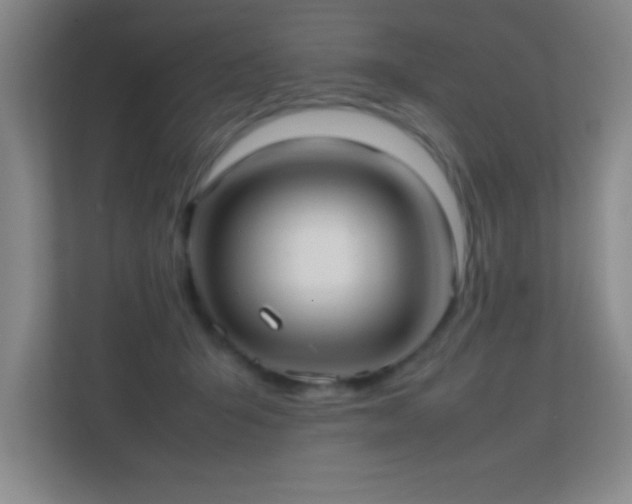 X0000113870415200909241336