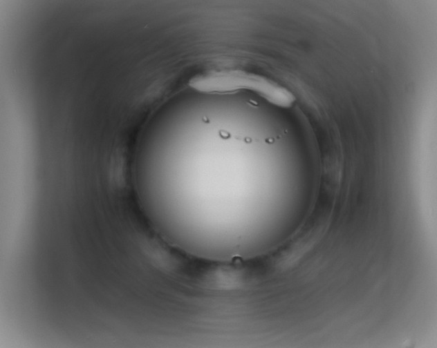 X0000113870416200909241336