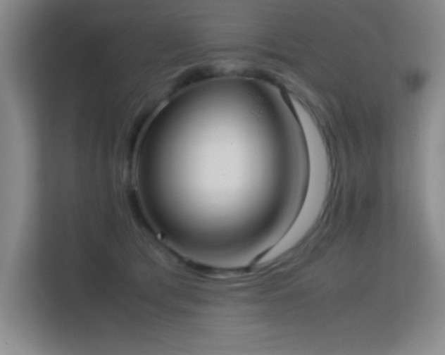 X0000113870417200909241336