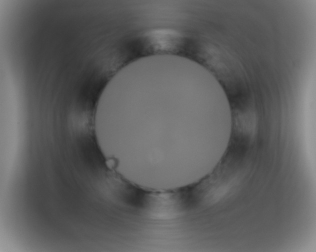 X0000113870419200909241336