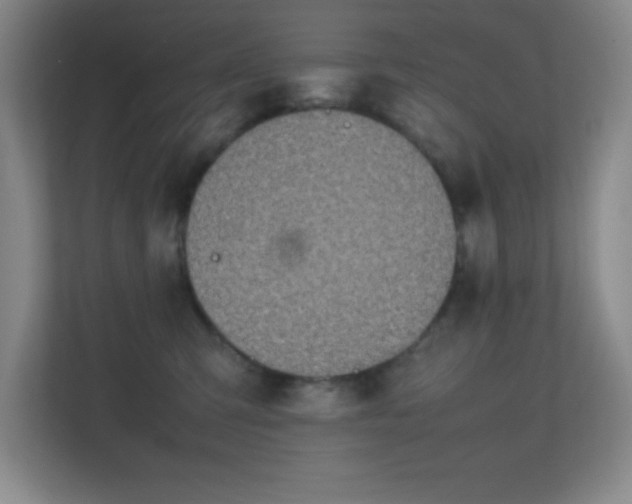 X0000113870423200909241336