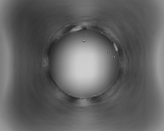 X0000113870425200909241336