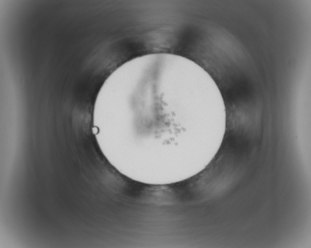 X0000113870427200909241336