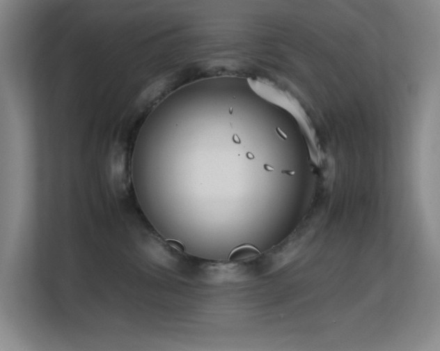 X0000113870428200909241336