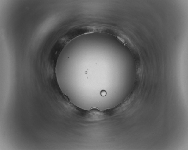 X0000113870429200909241336