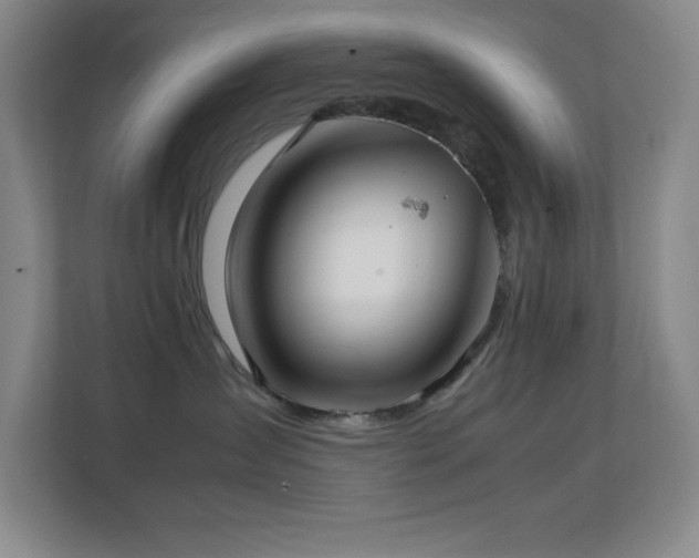 X0000113870431200909241336