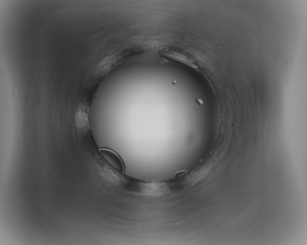 X0000113870432200909241336