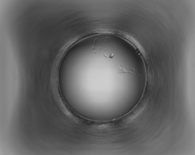 X0000113870433200909241335