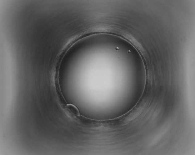 X0000113870434200909241335