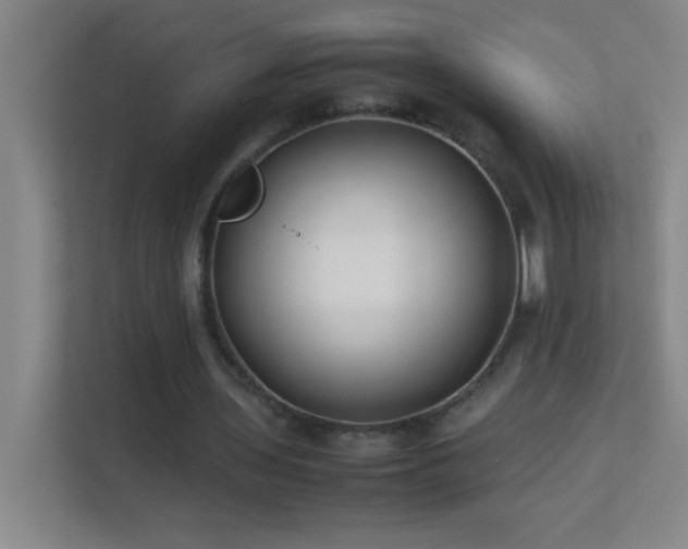 X0000113870435200909241335