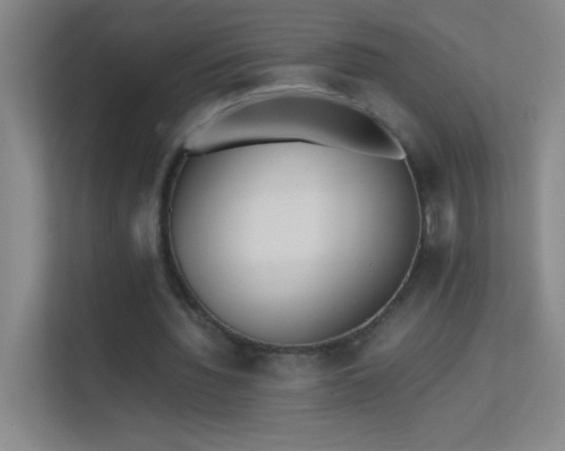 X0000113870436200909241335