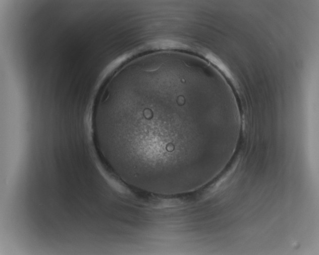 X0000113870438200909241335