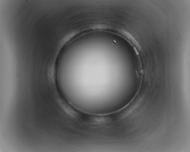 X0000113870439200909241335