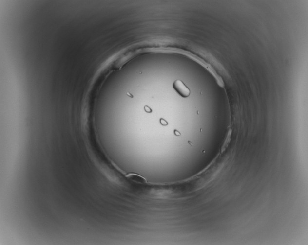 X0000113870440200909241335