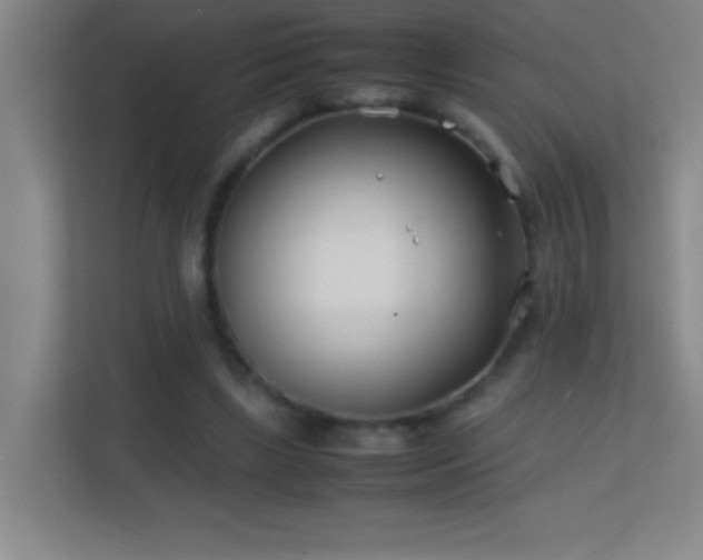 X0000113870443200909241335