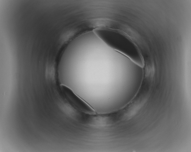 X0000113870444200909241335