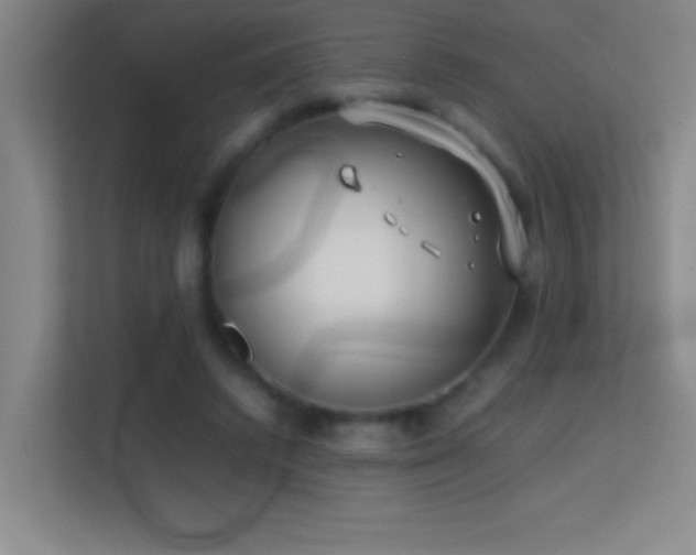 X0000113870448200909241335