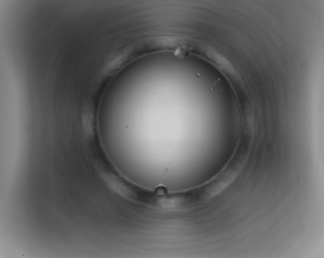 X0000113870450200909241335