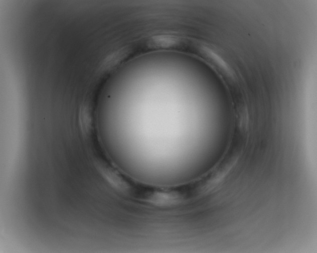 X0000113870455200909241335