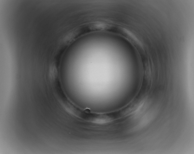 X0000113870459200909241335