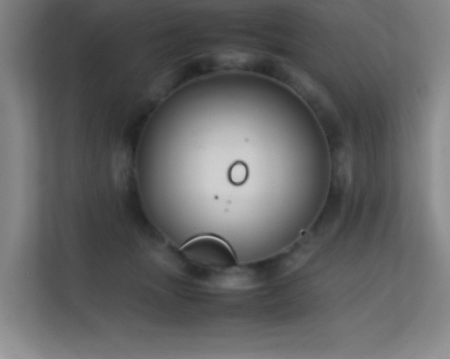 X0000113870463200909241335