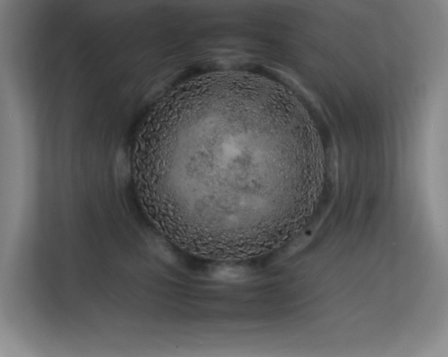 X0000113870471200909241335