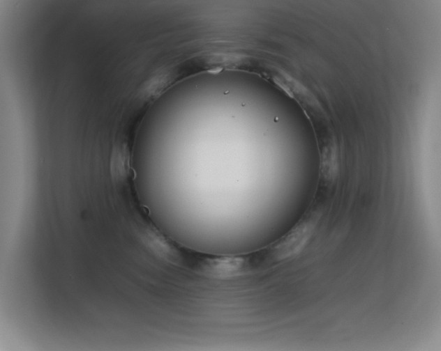 X0000113870474200909241336