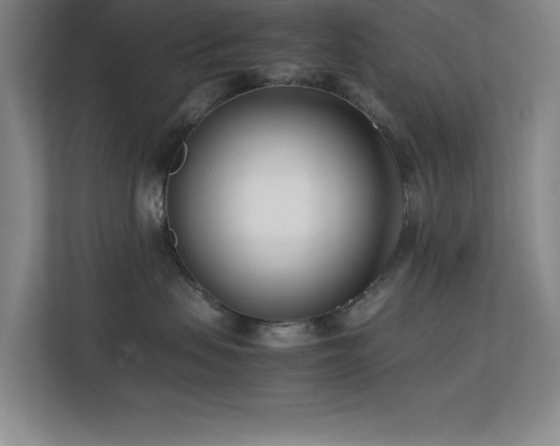 X0000113870479200909241336