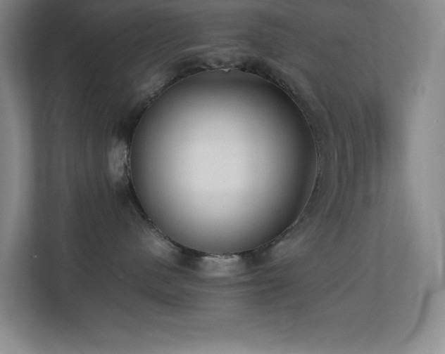 X0000113870480200909241336