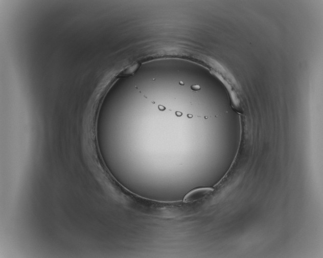 X0000113870481200909241335