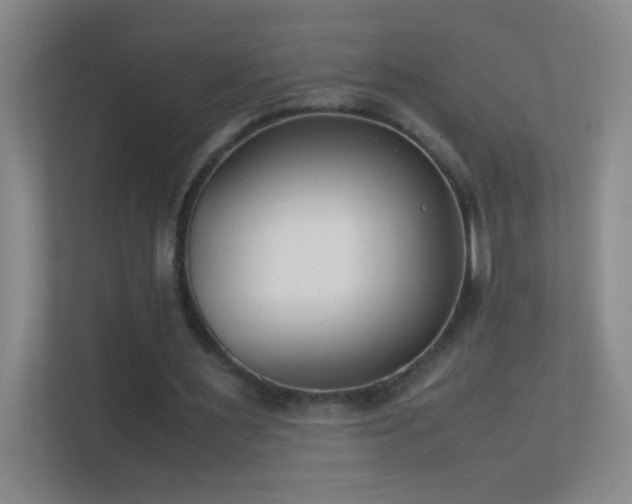 X0000113870483200909241335