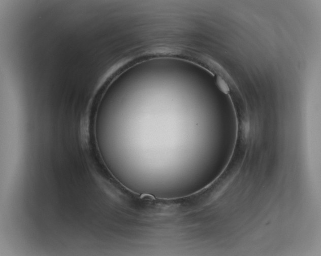 X0000113870484200909241335