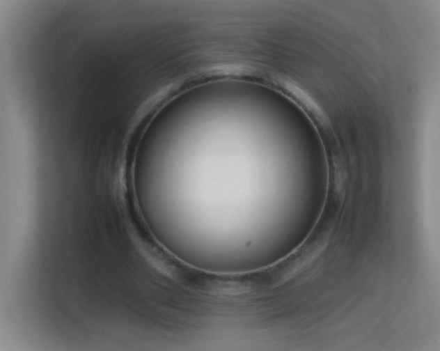 X0000113870486200909241335