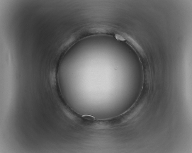 X0000113870489200909241335