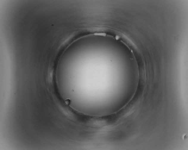 X0000113870491200909241335