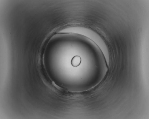 X0000113870492200909241335