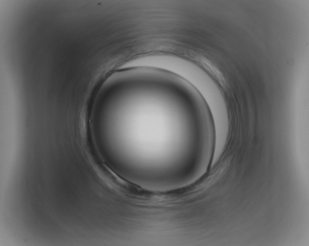 X0000113870493200909241335