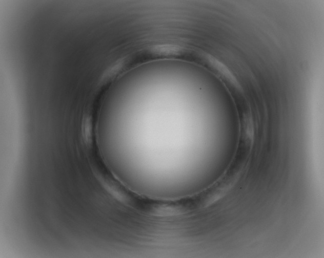 X0000113870494200909241335